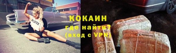 ешки Арсеньев