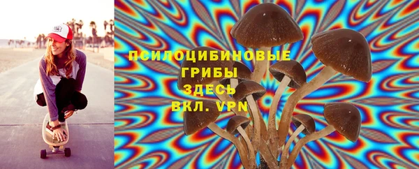 ешки Арсеньев